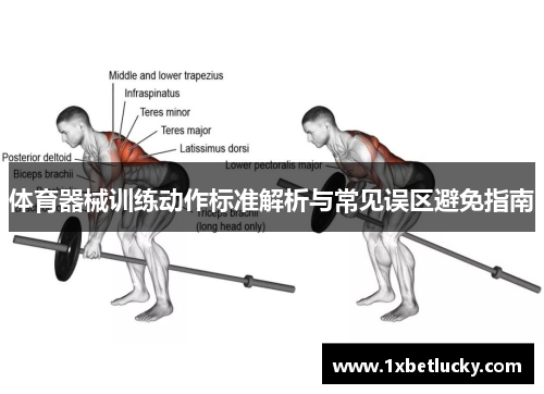 体育器械训练动作标准解析与常见误区避免指南
